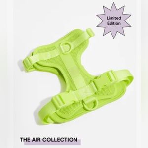 Wild One Limeade Medium dog harnesss